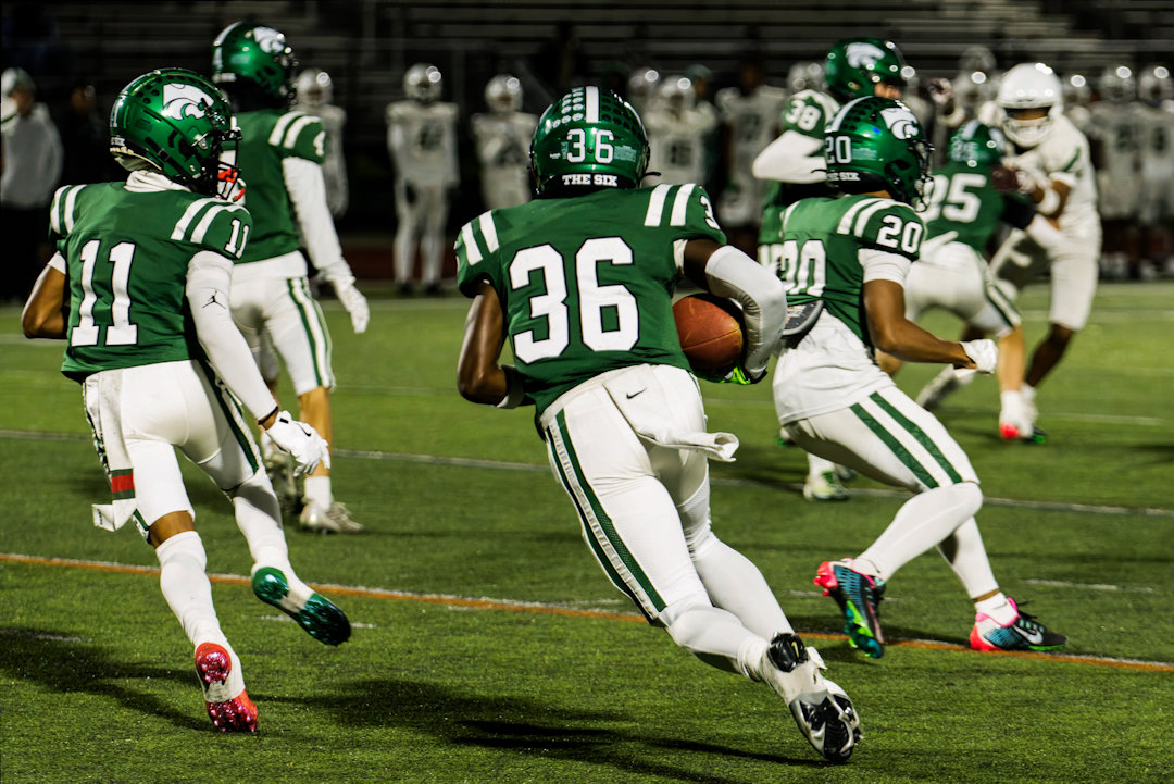 Novi Wildcats